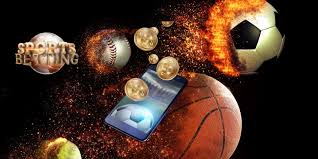 Discover Exciting Opportunities with skyexchange 247