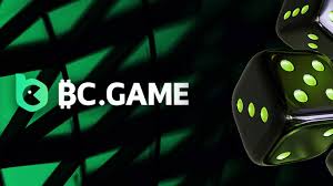 Exploring the Exciting World of bc.game 24